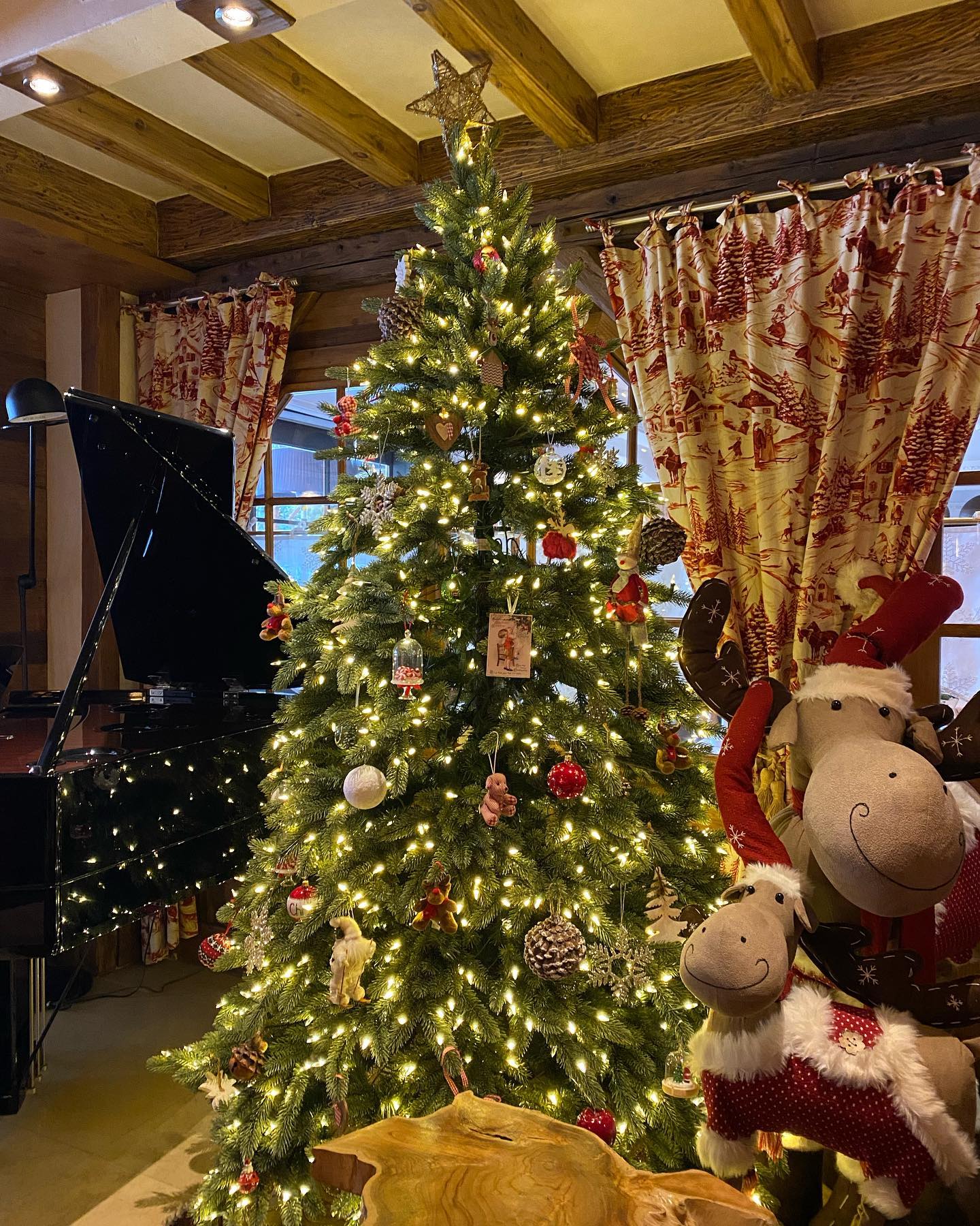 269949299 4724701427589707 1480867372387026422 n 1